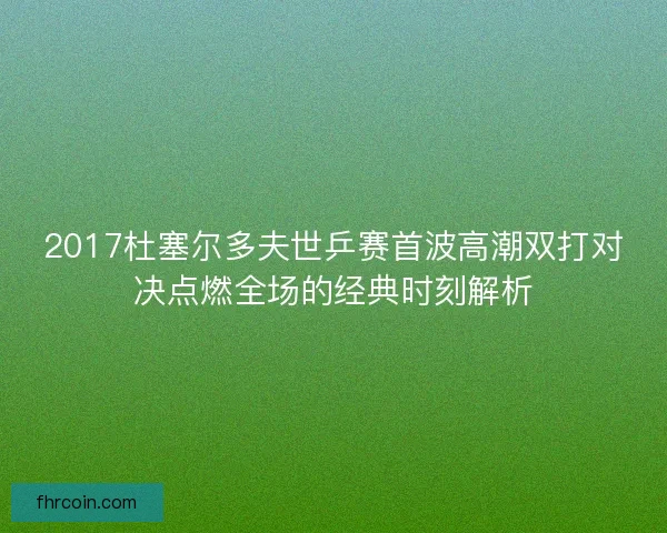 2017杜塞尔多夫世乒赛首波高潮双打对决点燃全场的经典时刻解析