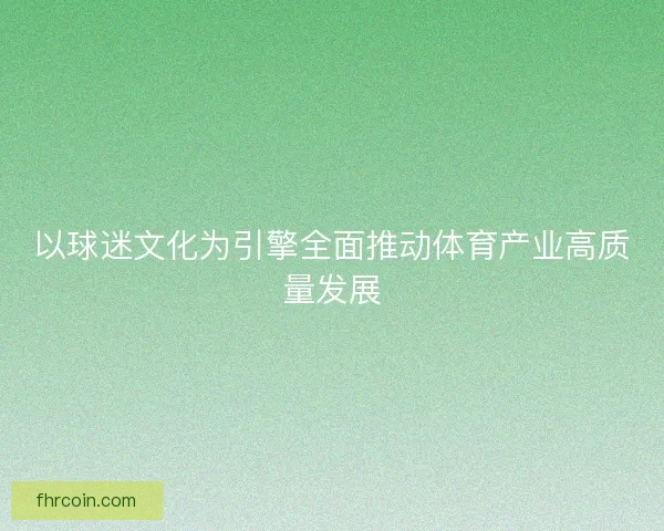 以球迷文化为引擎全面推动体育产业高质量发展