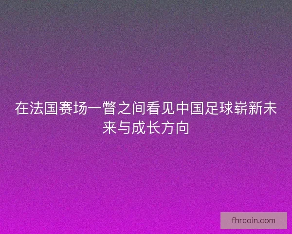 在法国赛场一瞥之间看见中国足球崭新未来与成长方向