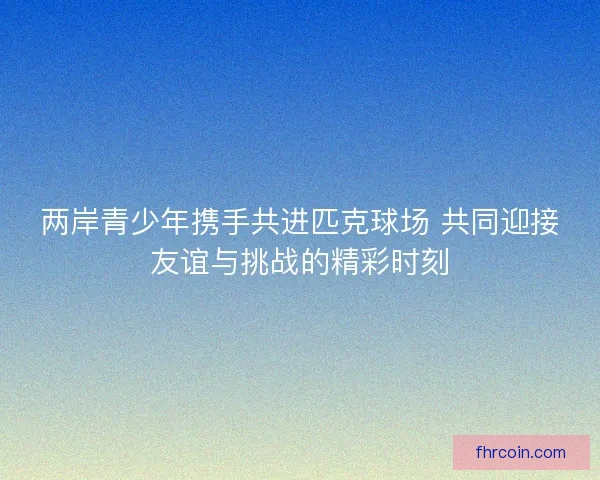 两岸青少年携手共进匹克球场 共同迎接友谊与挑战的精彩时刻 两岸青少年携手共进匹克球场 共同迎接友谊与挑战的精彩时刻